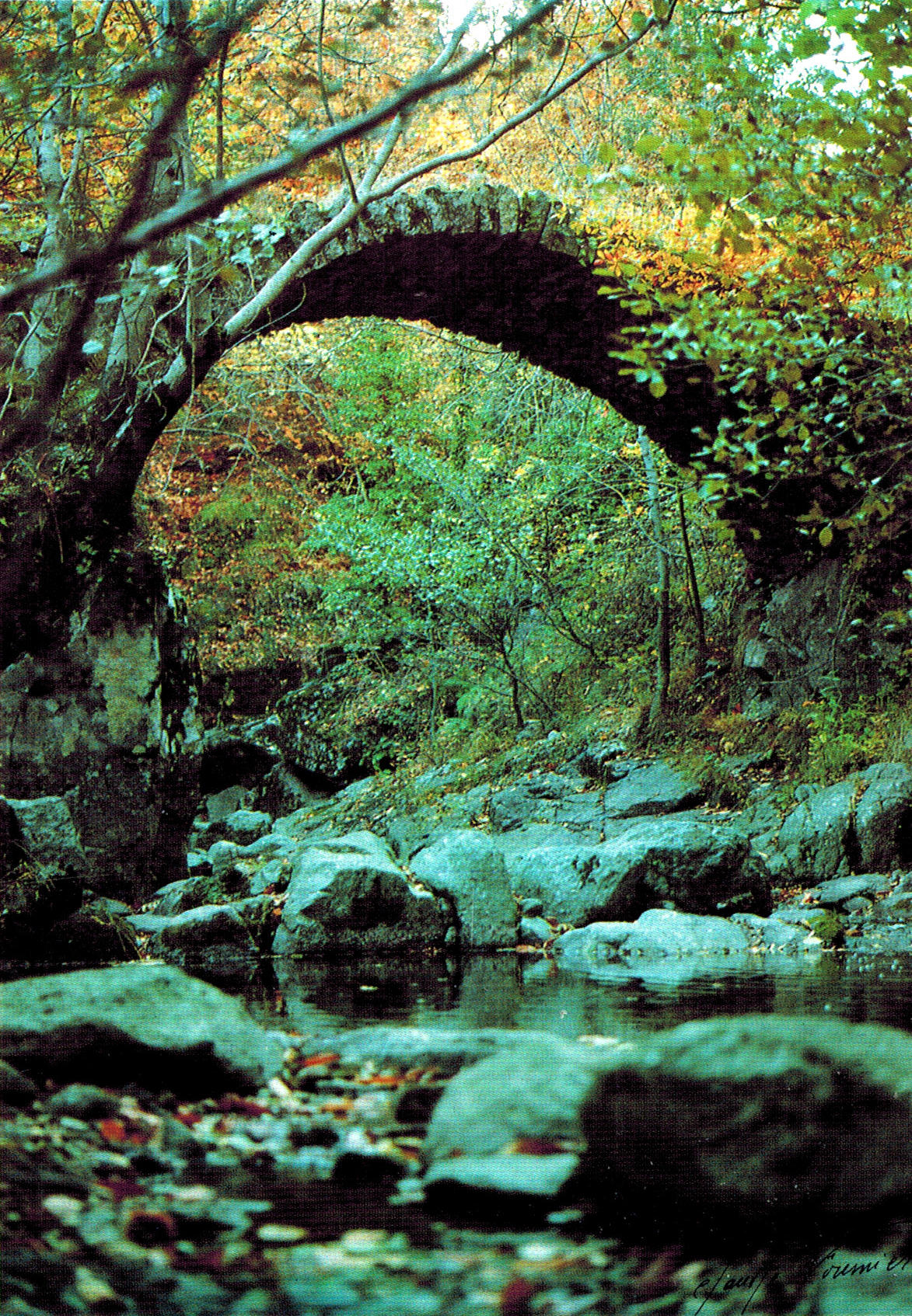vieux pont